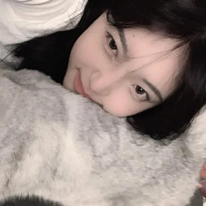 完美圣诞节
